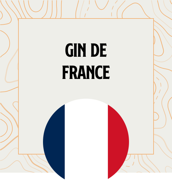 Les Gins français Gin en provenance directe de France