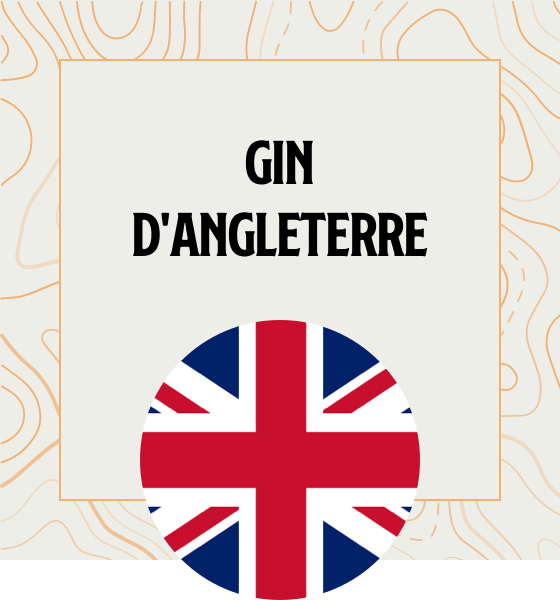 Gin d'Angleterre Gin en provenance directe d'Angleterre