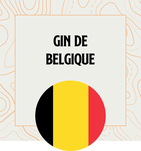 Les gins Belge Gin en provenance directe de Belgique