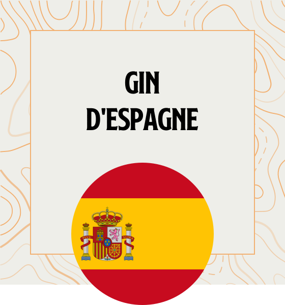 Gin d'Espagne Gin en provenance directe d'Espagne