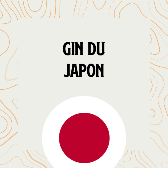 Gin Japonais Gin en provenance directe du Japon
