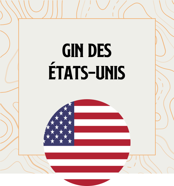 Gin des USA Gin en provenance directe des Etats-Unis