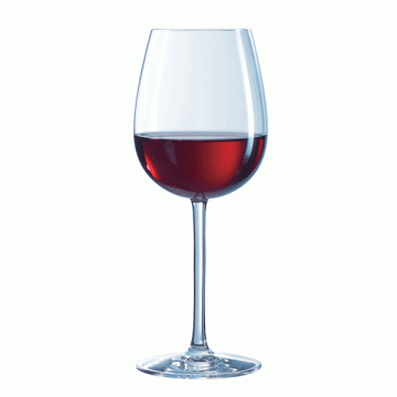 coffret 4 Verres à Vin Oenologue Expert 55 cl